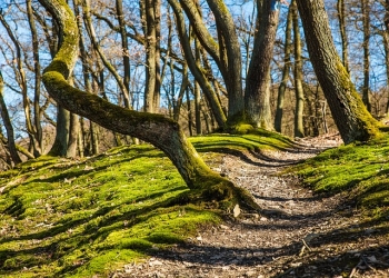 Unforgettable Hiking Trails Around the World