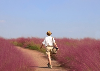 Unconventional City Adventures for Urban Explorers
